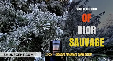 Unveiling the Captivating Scent of Dior Sauvage: A Fragrant Journey