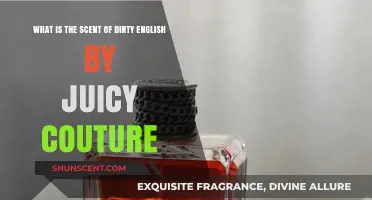 Unveiling the Seductive Scent of Dirty English by Juicy Couture
