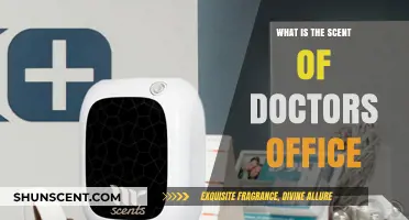 Unveiling the Familiar Aroma: Decoding the Signature Scent of Doctor's Offices
