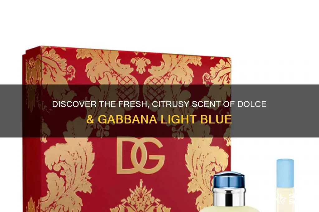 what is the scent of dolce and gabbana light blue