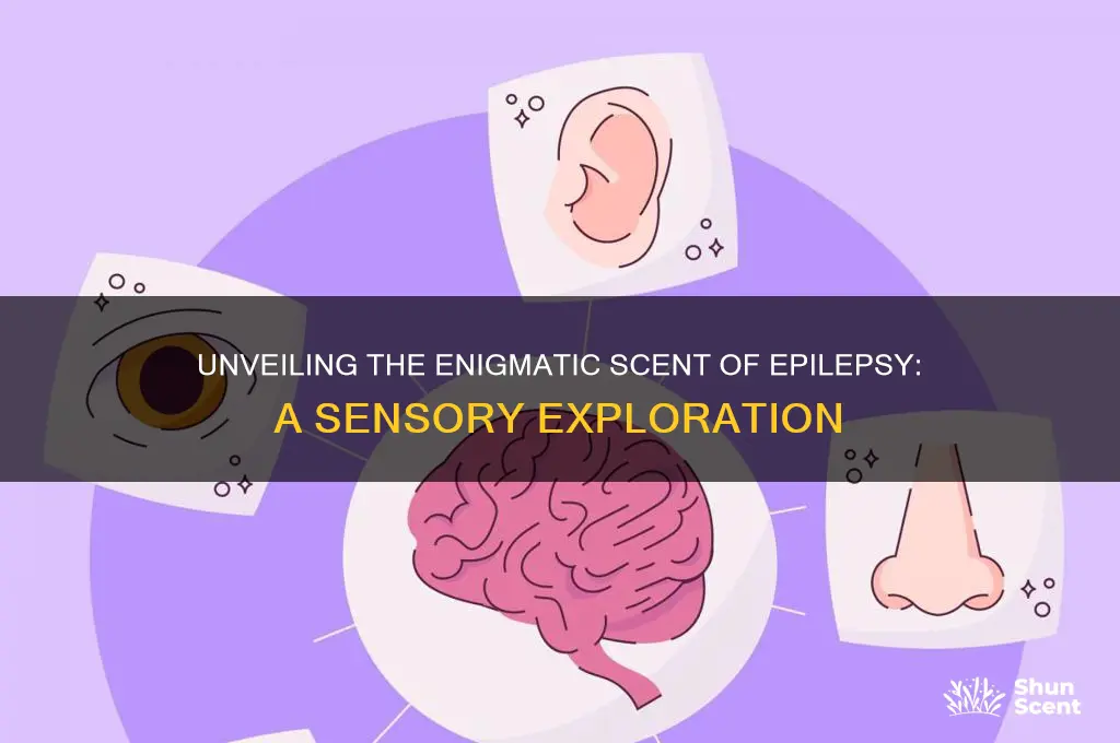 what is the scent of epilepsy