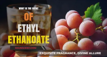 Exploring the Sweet and Fruity Aroma of Ethyl Ethanoate