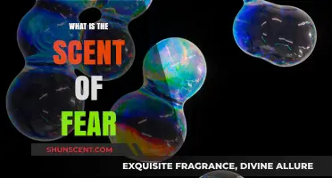 Unveiling the Mysterious Scent of Fear: Science Behind Human Pheromones