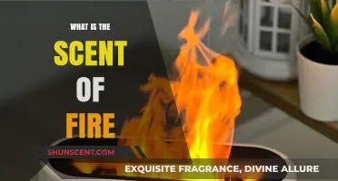 The Enigmatic Aroma of Fire: Unraveling Its Unique Scent Profile