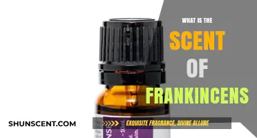 Exploring the Mystical Aroma of Frankincense: A Fragrant Journey