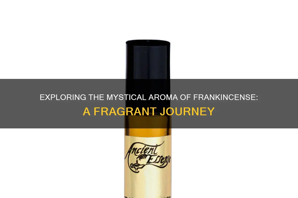 what is the scent of frankincense