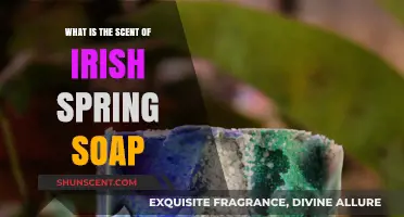 Unveiling the Fresh, Invigorating Scent of Irish Spring Soap