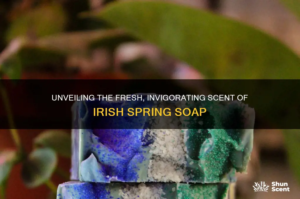 what is the scent of irish spring soap