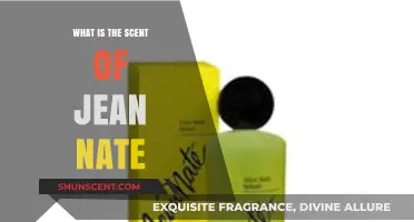 Unveiling the Timeless Fragrance: What is the Scent of Jean Nate?