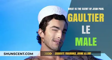 Discover the Alluring Scent of Jean Paul Gaultier Le Male