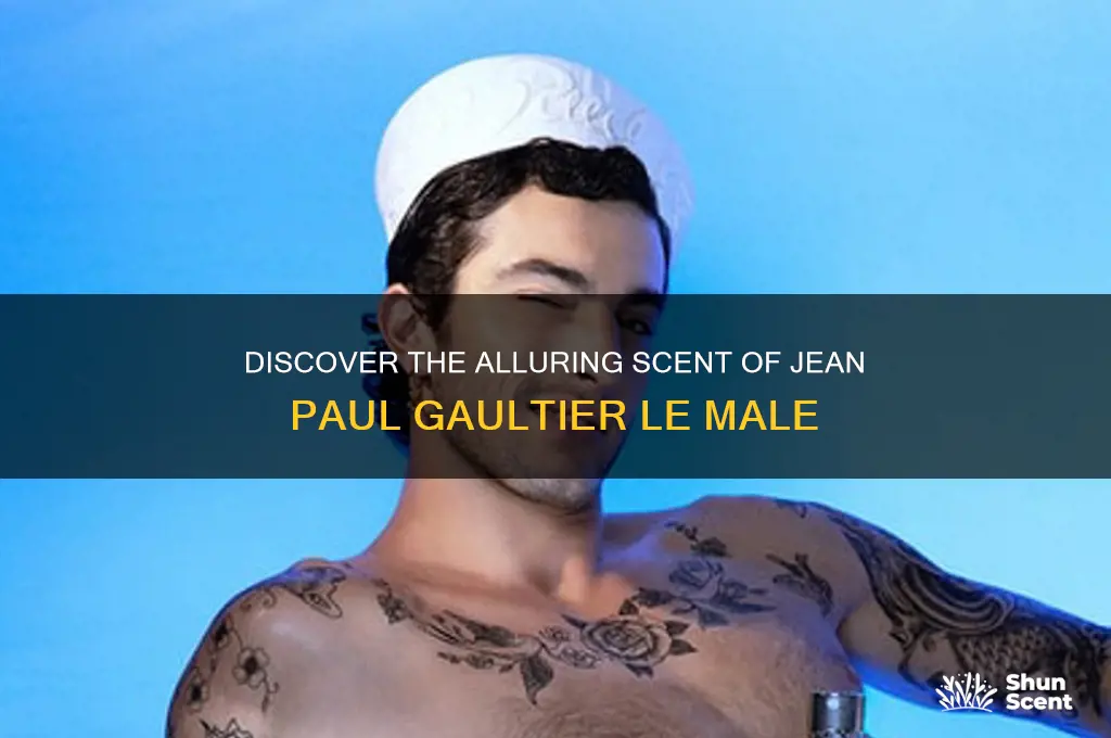 what is the scent of jean paul gaultier le male