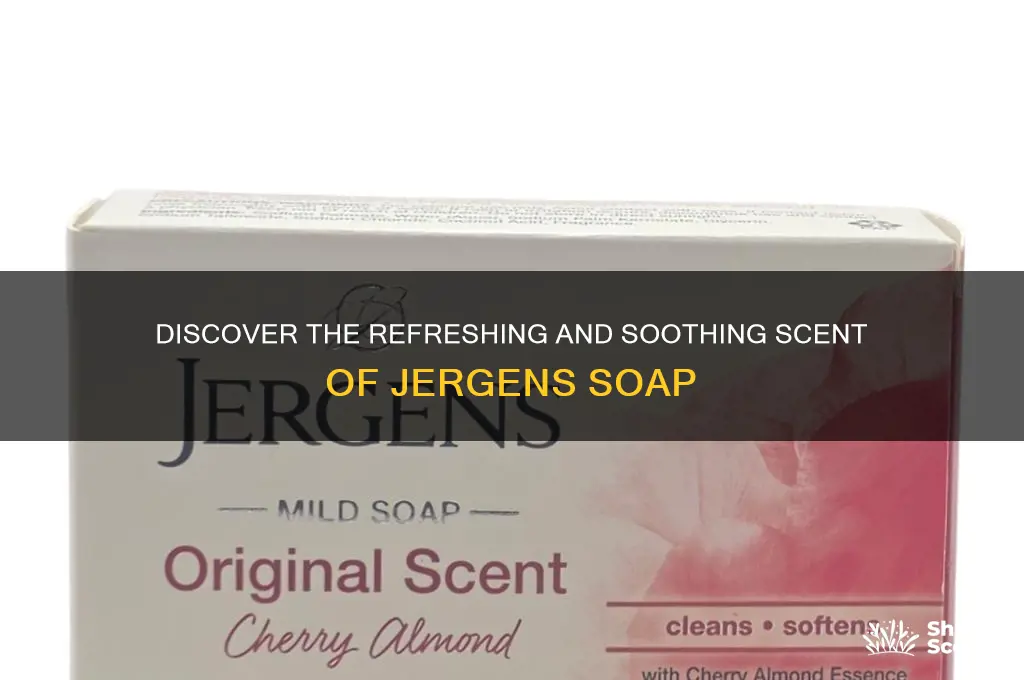 what is the scent of jergens soap