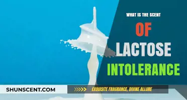 Unraveling the Unpleasant Scent of Lactose Intolerance: What to Expect