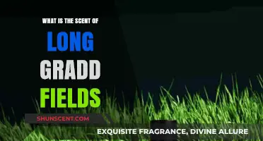 Exploring the Aromatic Allure of Long Grass Fields: A Scent Journey