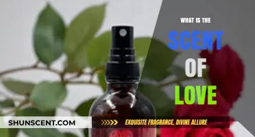 The Scent of Love: Unveiling the Aromatic Essence of Connection