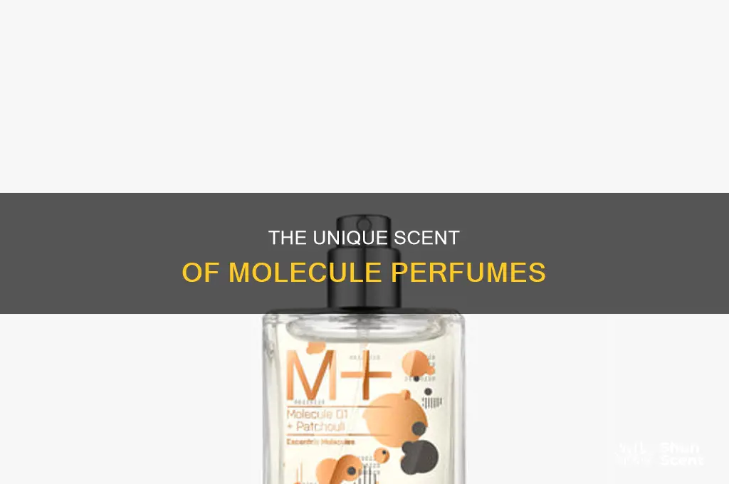 what is the scent of molecule perfume