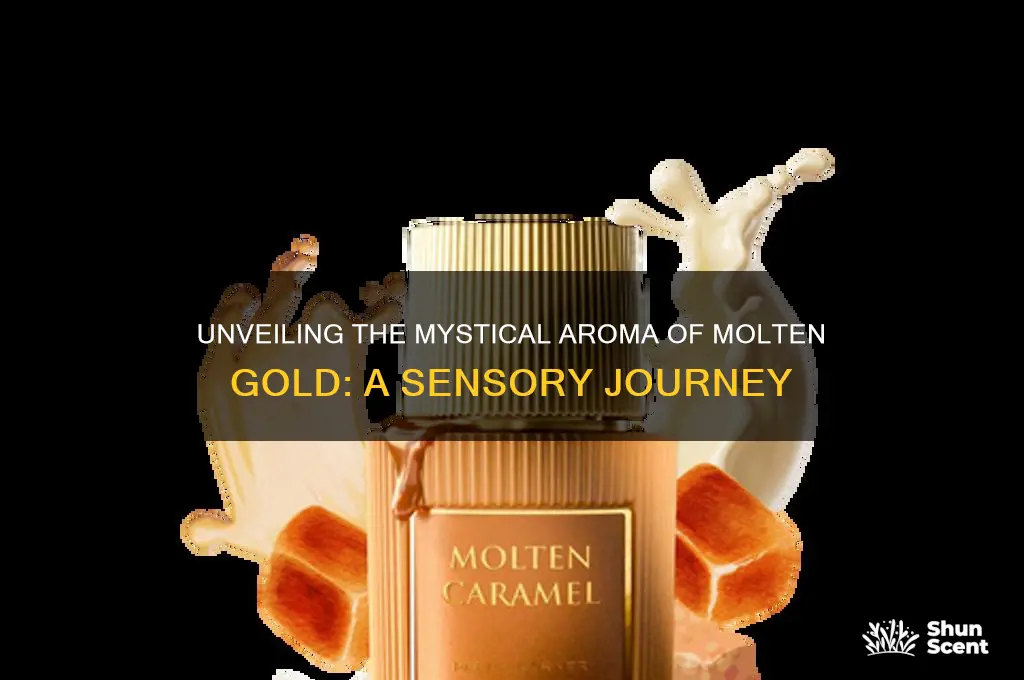 what is the scent of molten gold