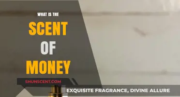 The Intriguing Aroma of Wealth: Decoding the Scent of Money