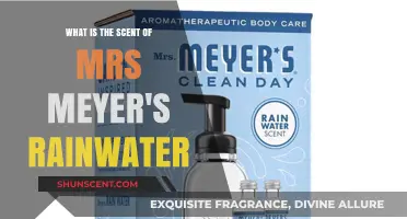 Exploring the Fresh, Clean Aroma of Mrs. Meyer's Rainwater Scent