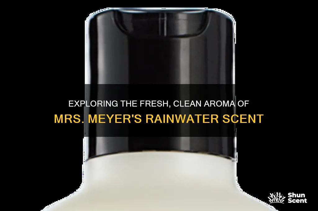 what is the scent of mrs meyer