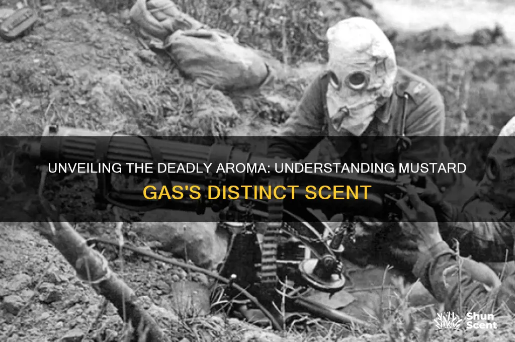 what is the scent of mustard gas