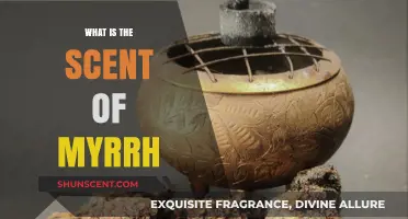 Unveiling the Mystical Aroma: What is the Scent of Myrrh?