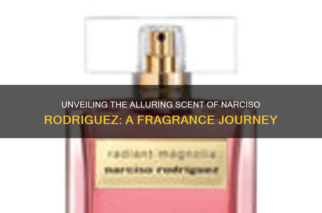 what is the scent of narciso rodriguez