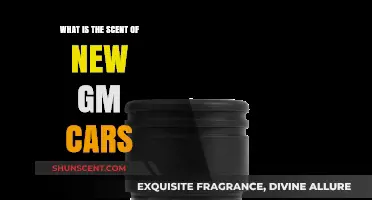 Unveiling the Signature Scent of New GM Cars: A Fresh Experience
