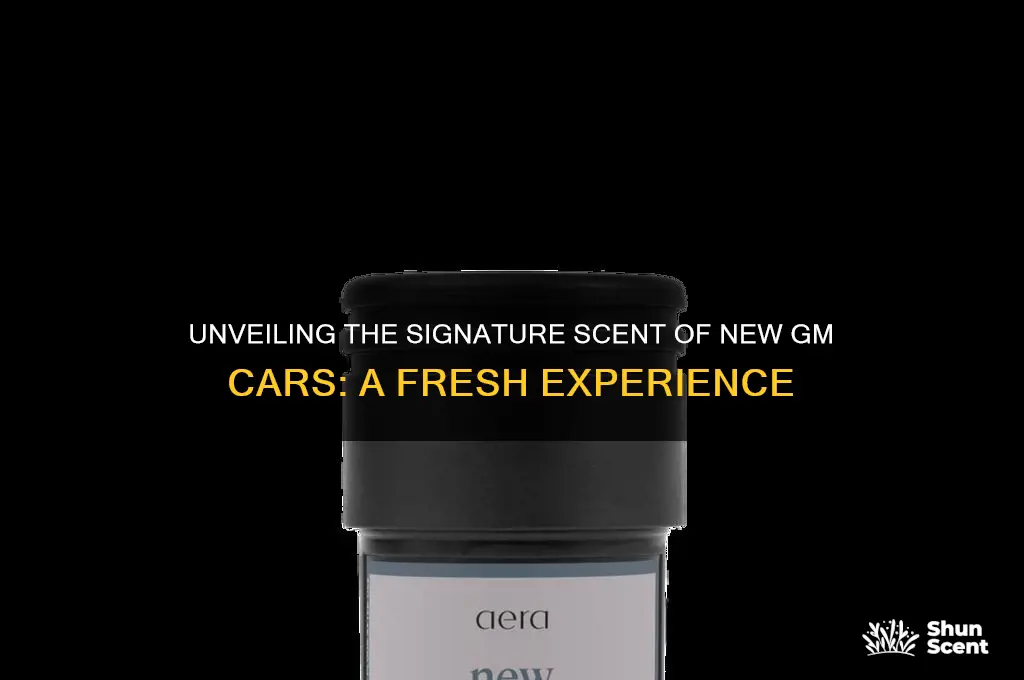 what is the scent of new gm cars