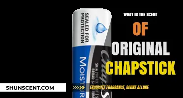 Unveiling the Classic Aroma: What is the Scent of Original Chapstick?