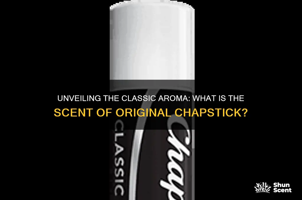 what is the scent of original chapstick