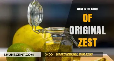 Exploring the Fresh, Citrusy Aroma of Original Zest: What's the Scent?