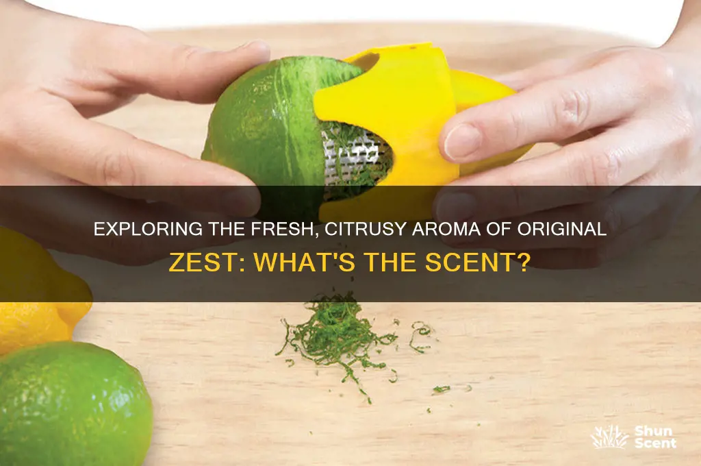 what is the scent of original zest