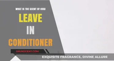 Discover the Signature Scent of Ouai Leave-In Conditioner