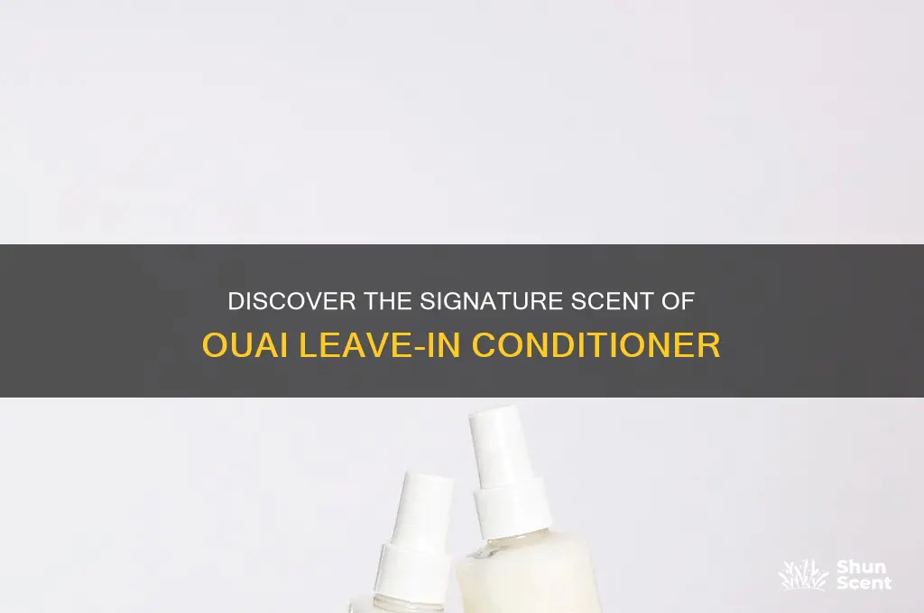 what is the scent of ouai leave in conditioner