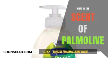 Exploring the Fresh, Clean Aroma of Palmolive: What’s the Scent?