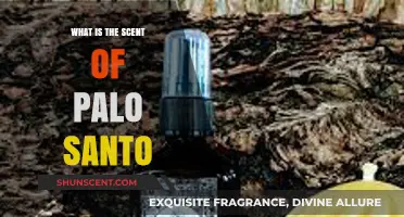 Unveiling the Mystical Aroma: Exploring Palo Santo's Signature Scent