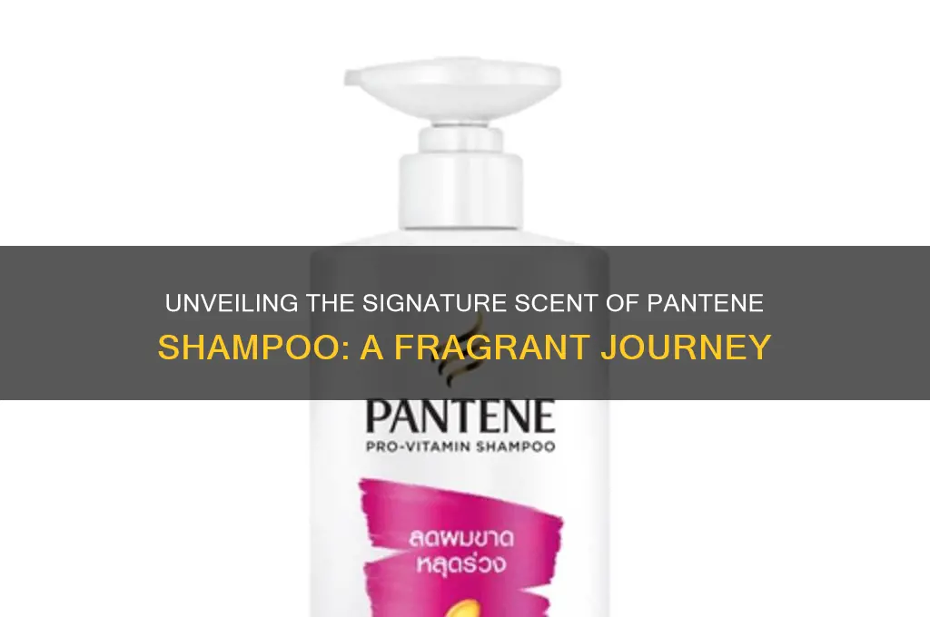 what is the scent of pantene shampoo