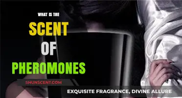 Unveiling the Mysterious Scent of Pheromones: Science Behind Attraction