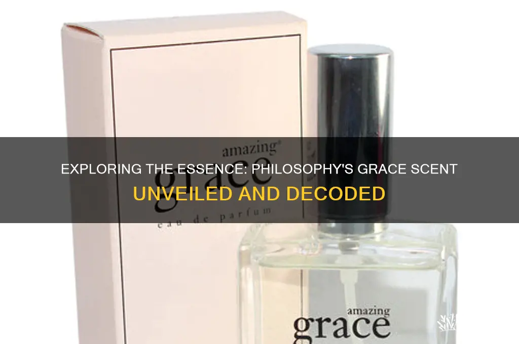 what is the scent of philosophy grace