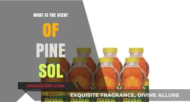 Exploring the Fresh, Clean Aroma of Pine-Sol: What's That Scent?