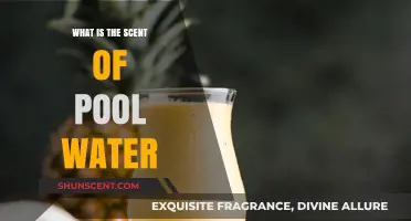 Unveiling the Unique Aroma: What Gives Pool Water Its Signature Scent?
