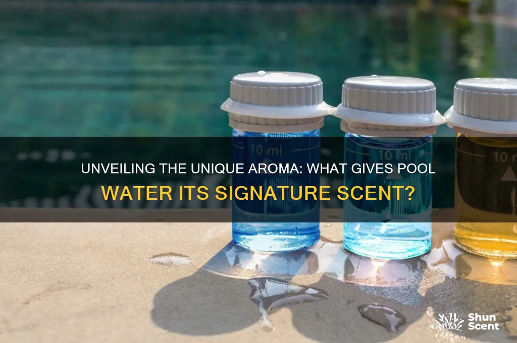 what is the scent of pool water