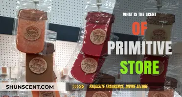 Exploring the Unique, Earthy Aroma of Primitive Store's Signature Scent