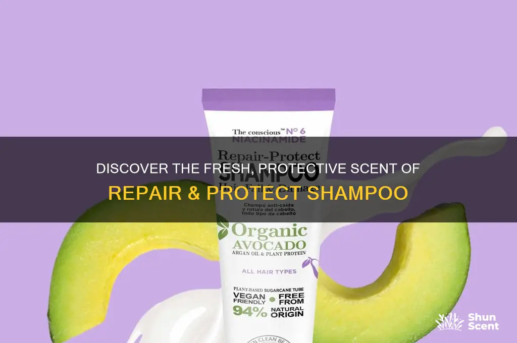 what is the scent of repair & protect shampoo