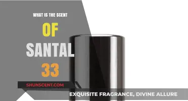Unveiling the Iconic Santal 33 Scent: A Fragrant Journey Explored