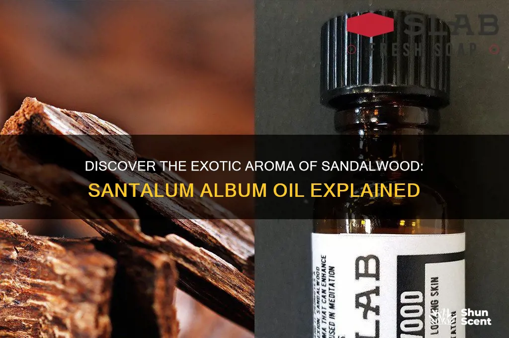 what is the scent of santalum album oil