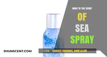 The Fresh, Salty Aroma of Sea Spray: Unraveling Its Essence