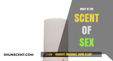 Unveiling the Alluring Scent of Sex: A Sensual Exploration