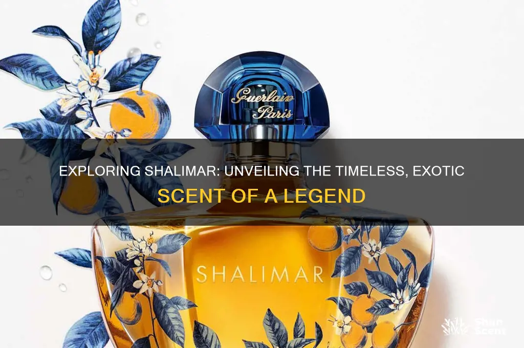 what is the scent of shalimar